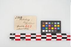 Etikett zu Bronzemehrkopfnadel (NHMW-PRAE-025589)